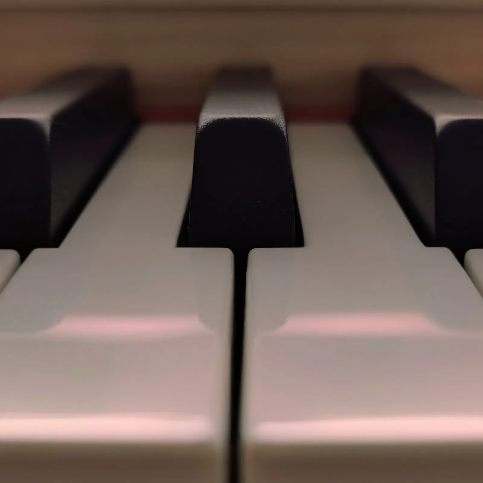 An extreme close-up of piano keys, softly lit with warm reflected light